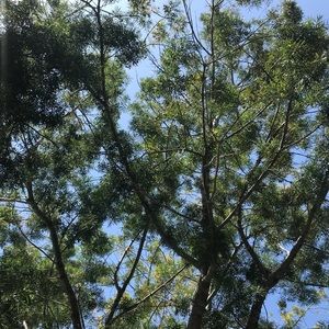 Meet your Posher, Nora